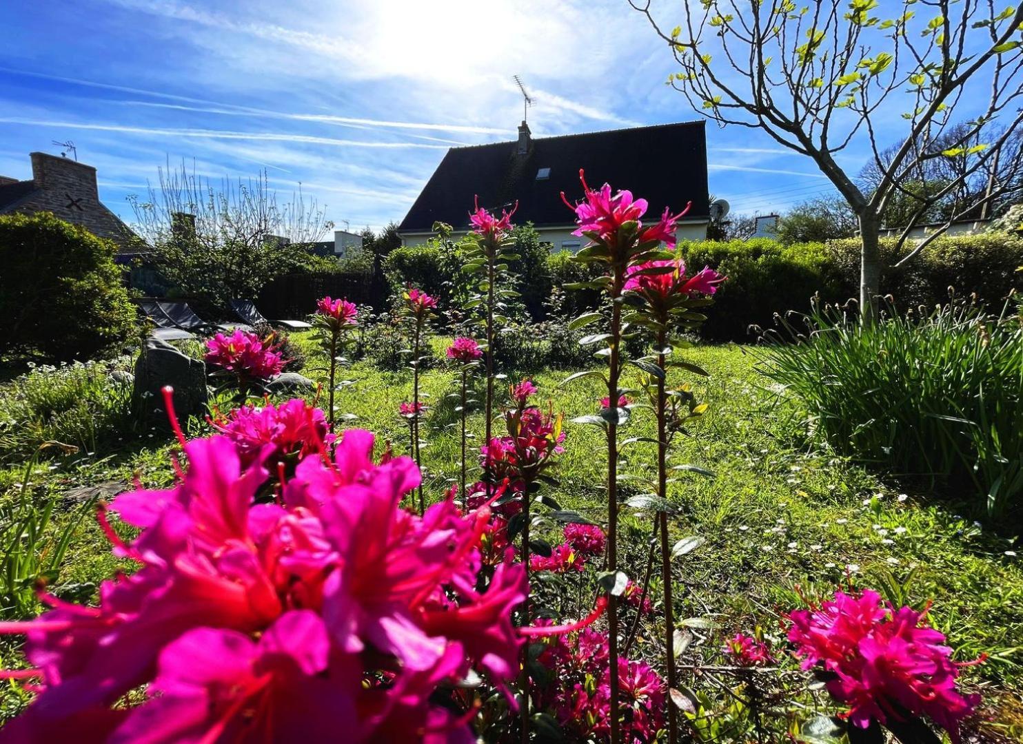 Maison Kerity With Jacuzzi - Terrace Paimpol Buitenkant foto